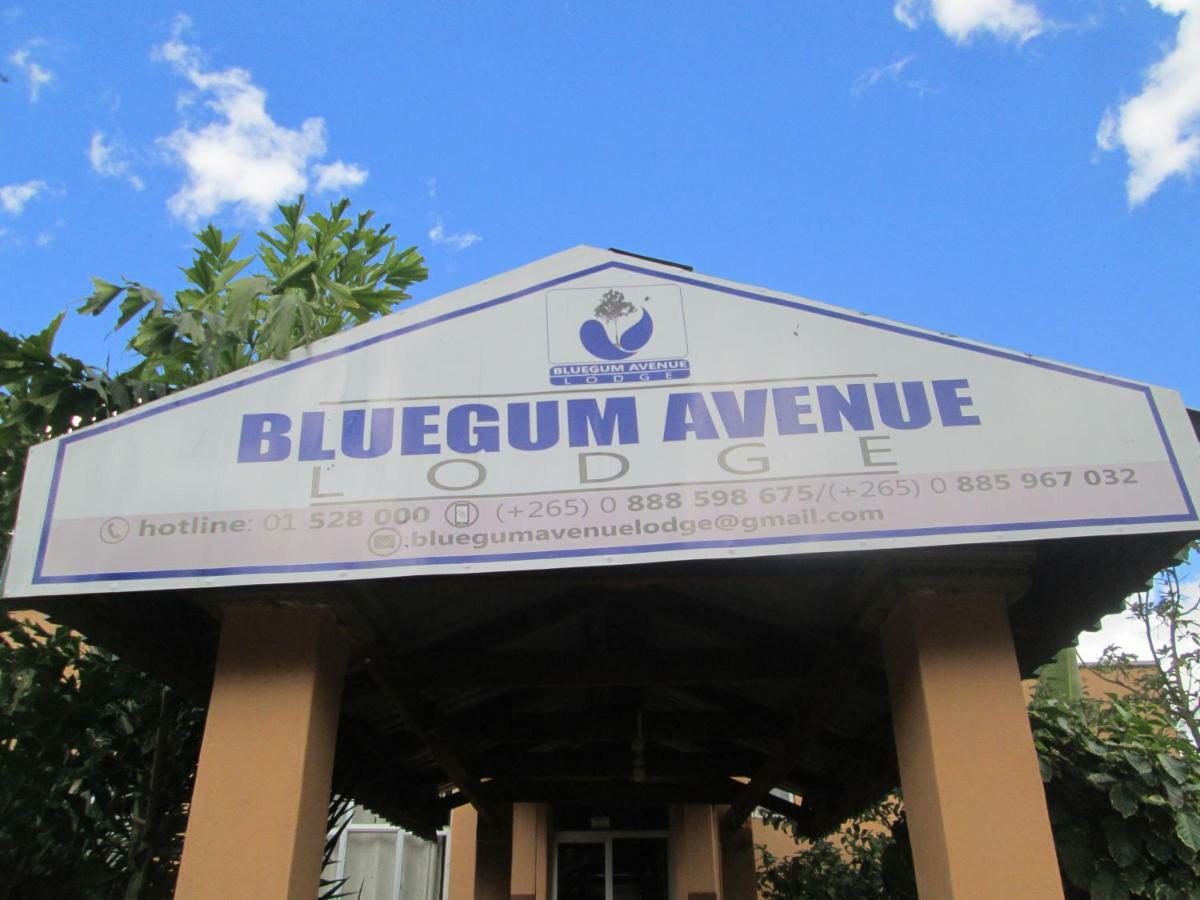 Bluegum Avenue Lodge Zomba Bagian luar foto